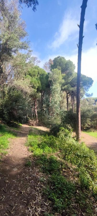Beach Forest Paradise Marbella Eksteriør bilde