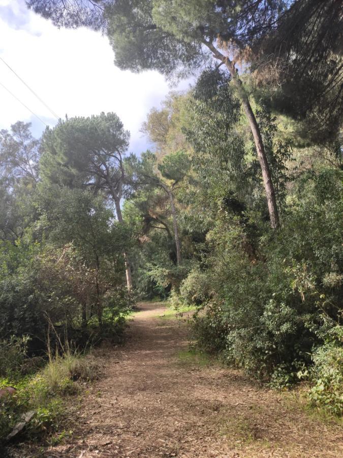 Beach Forest Paradise Leilighet Marbella Eksteriør bilde